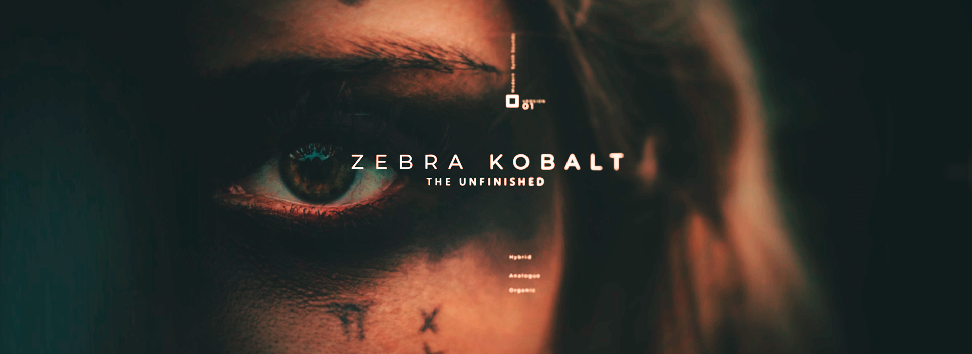 ZebraHZ Kobalt