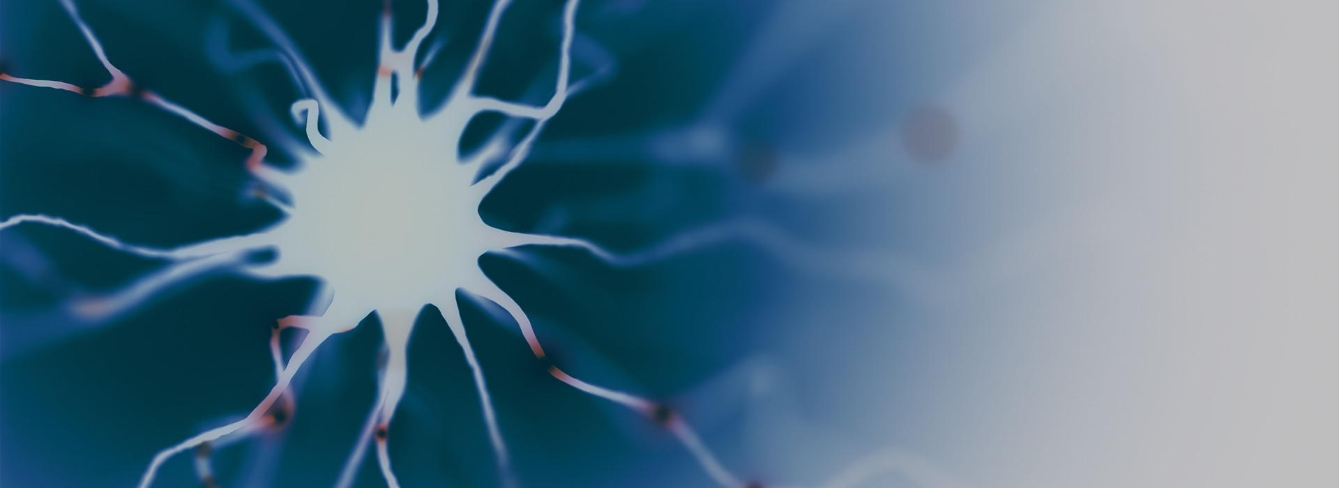 ZEBRA GRAVASTAR FLASH SALE